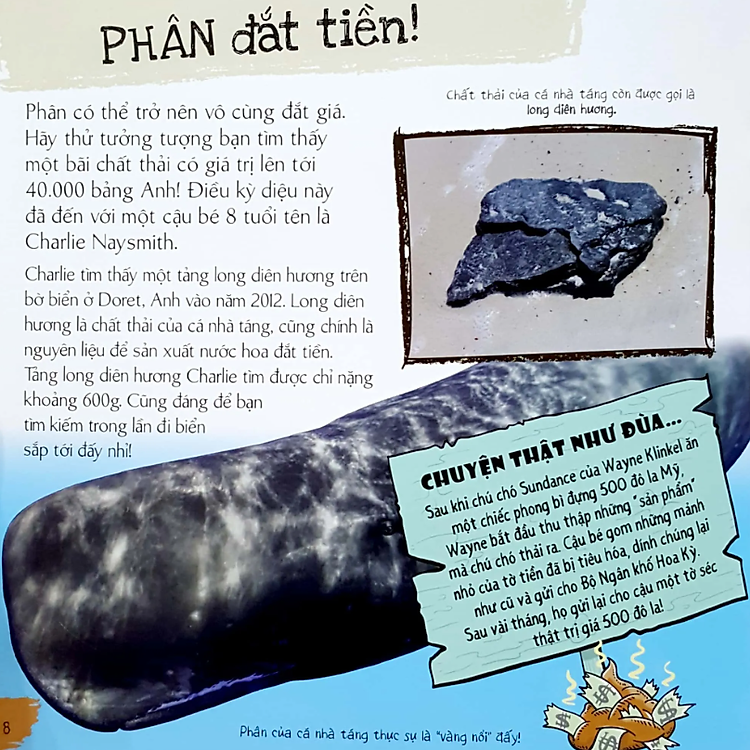 Phân Của Muôn Loài - Ảnh 3