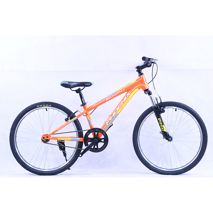 Xe đạp địa hình Phoenix Echo 4.0