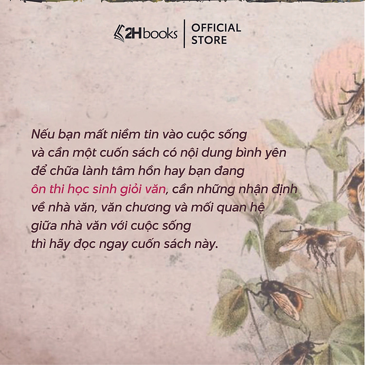 Bông Hồng Vàng và Bình Minh Mưa (Tái Bản Mới Nhất 2024) - Ảnh 5