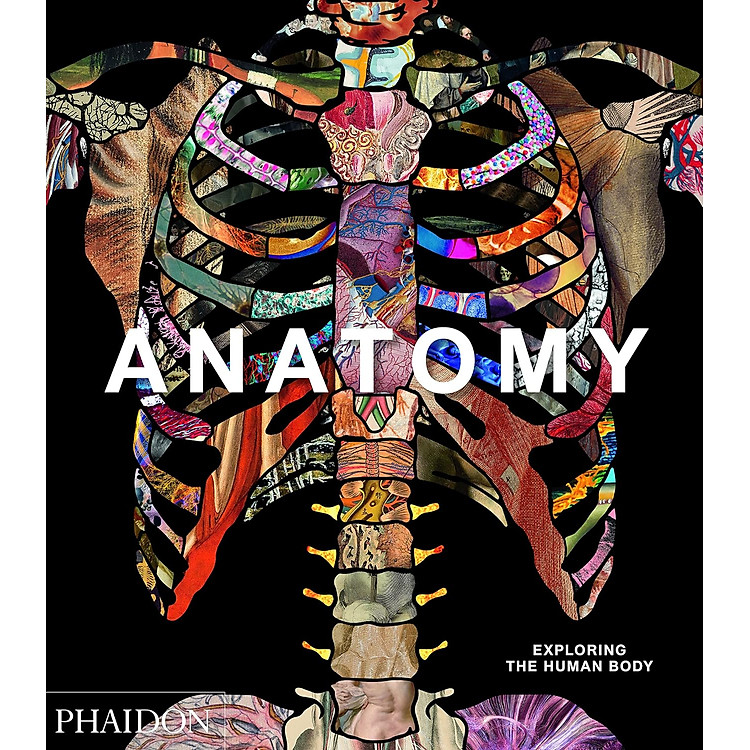 Anatomy