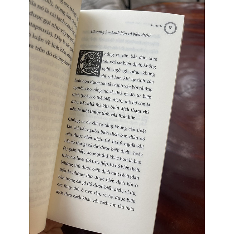 Thế Giới Quan Của Aristotle - Ảnh 2