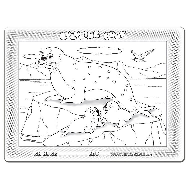 Mua Xếp hình Tia Sáng - Hải cẩu 30 Mảnh Chính hãng Tiết kiệm - Hình ảnh 2