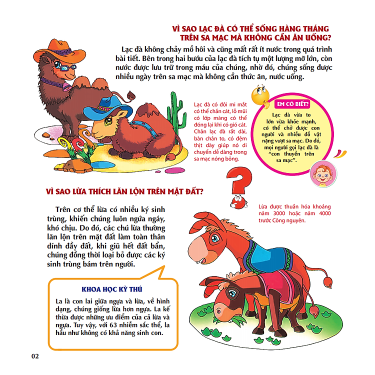 VÌ SAO CHIM LẠI LÀM TỔ? - Ảnh 4