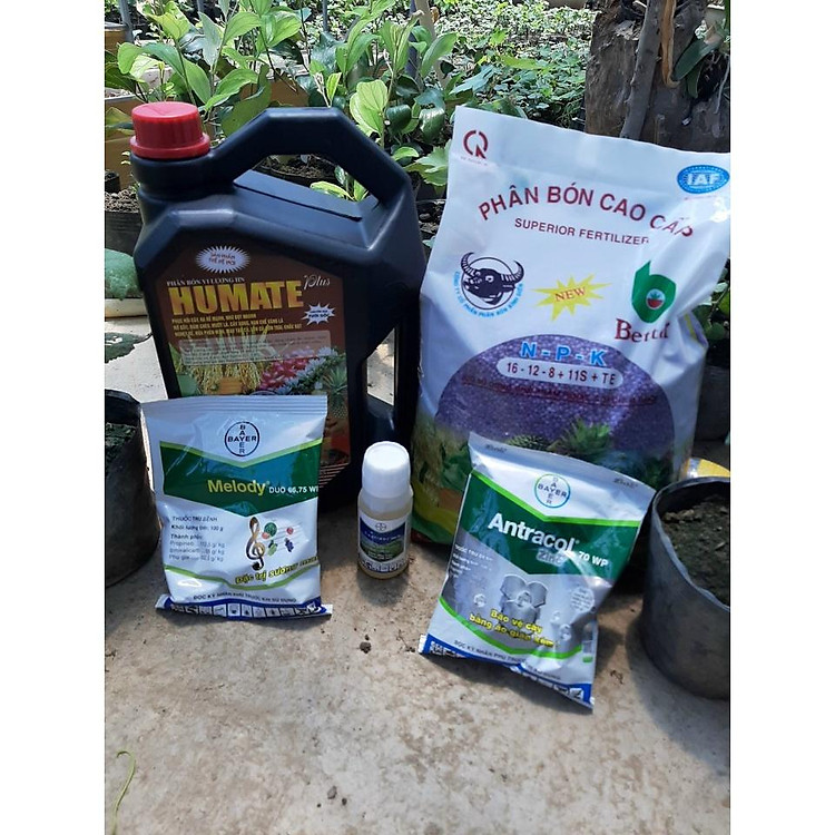 Phân NPK Tím Cho Cây Nho