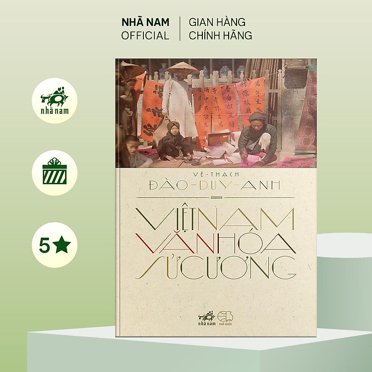 Việt Nam văn hóa sử cương