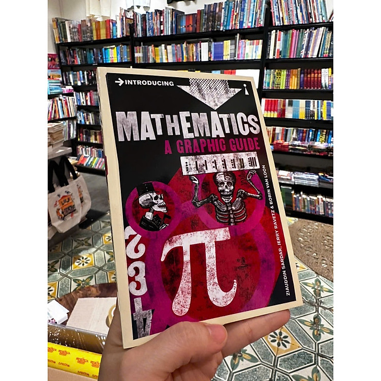 Introducing Mathematics: A Graphic Guide - Ảnh 3