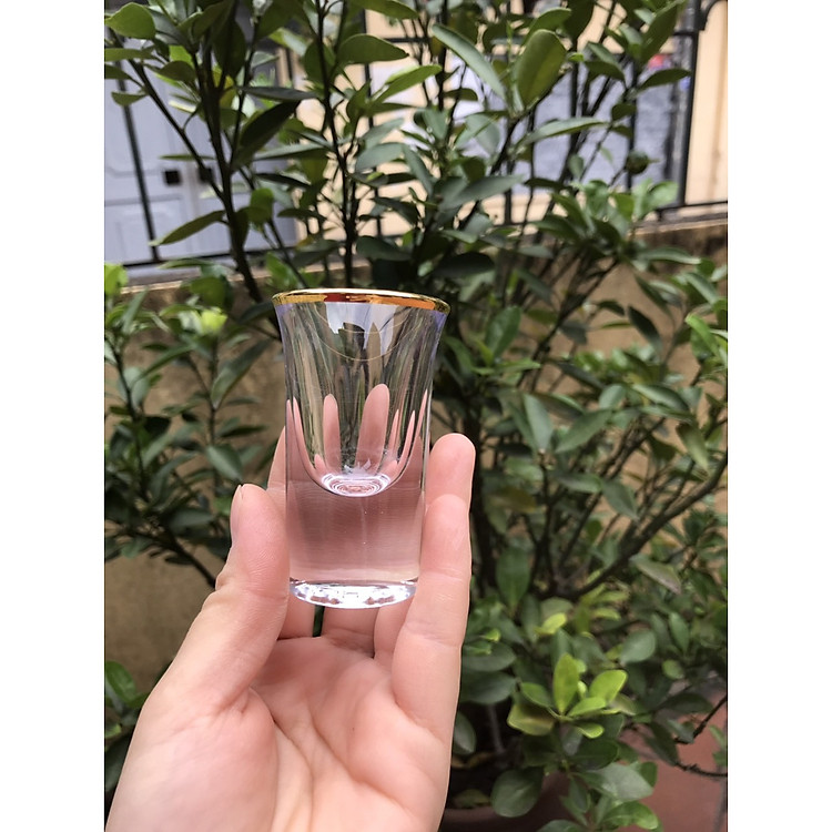 Bộ 6 ly rượu Shot thủy tinh viền vàng_20ml
