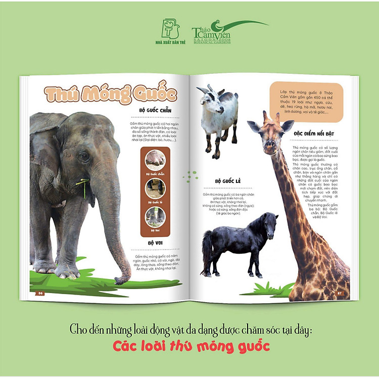 Thảo Cầm Viên Sài Gòn - Kho Báu Trong Lòng Thành Phố - Ảnh 5