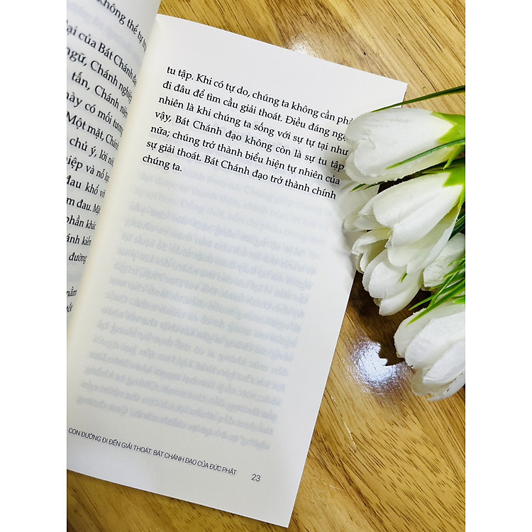 Bát Chánh Đạo Của Đạo Phật - Con Đường Đi Đến Giải Thoát - Ảnh 5