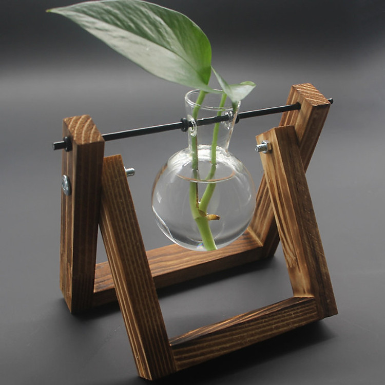 Bộ chai thủy tinh và giá treo theo phong cách Vintage để trồng cây thủy sinh trang trí - gỗ nâu cháy