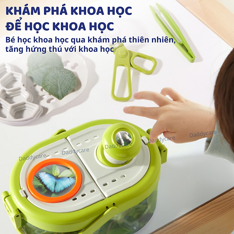 Hộp nuôi côn trùng Mideer tại Daddycareshop Chính hãng Giá tốt - Hình ảnh 4