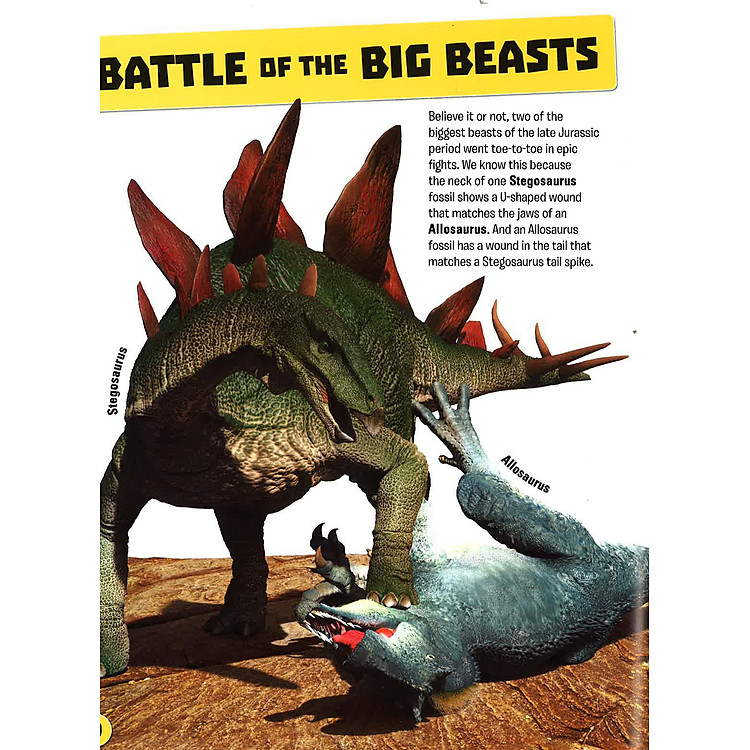 Evolution - The Story Of Life On Earth - Ảnh 5