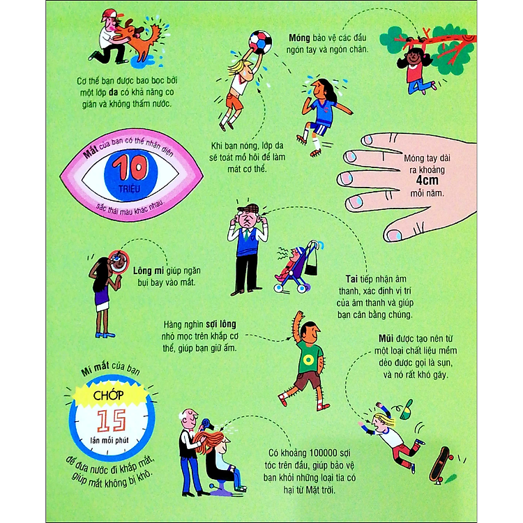 Tương Tác - Big Book - Cuốn Sách Khổng Lồ Về Cơ Thể Người (Tái Bản) - Ảnh 3