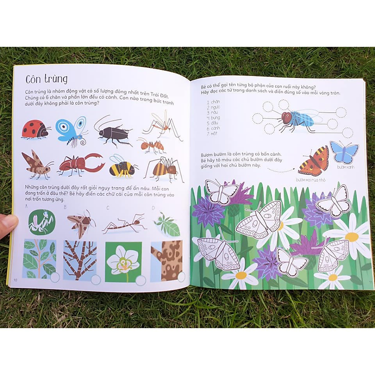 Tương Tác Vừa Học Vừa Chơi - Thiên Nhiên Muôn Màu - Ảnh 2