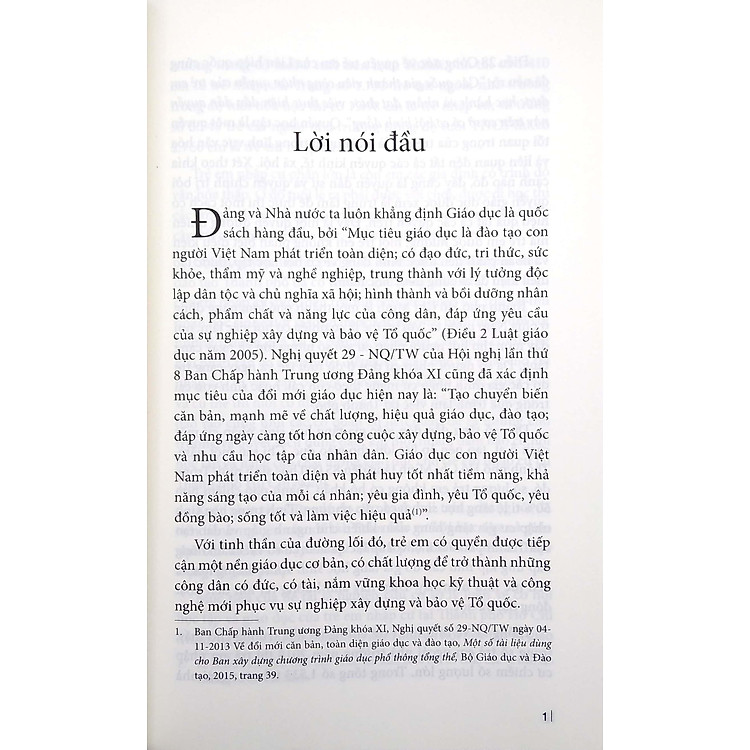 Đảm Bảo Cơ Hội Học Tập Và Giáo Dục Cho Trẻ Em Nhập Cư - Ảnh 5