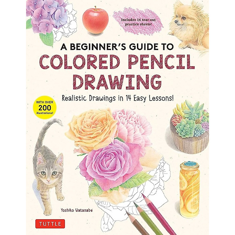 A Beginner’s Guide To Colored Pencil Drawing