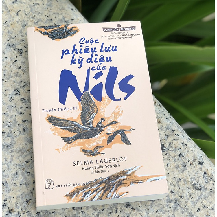 CCMR. Cuộc phiêu lưu kỳ diệu của Nils