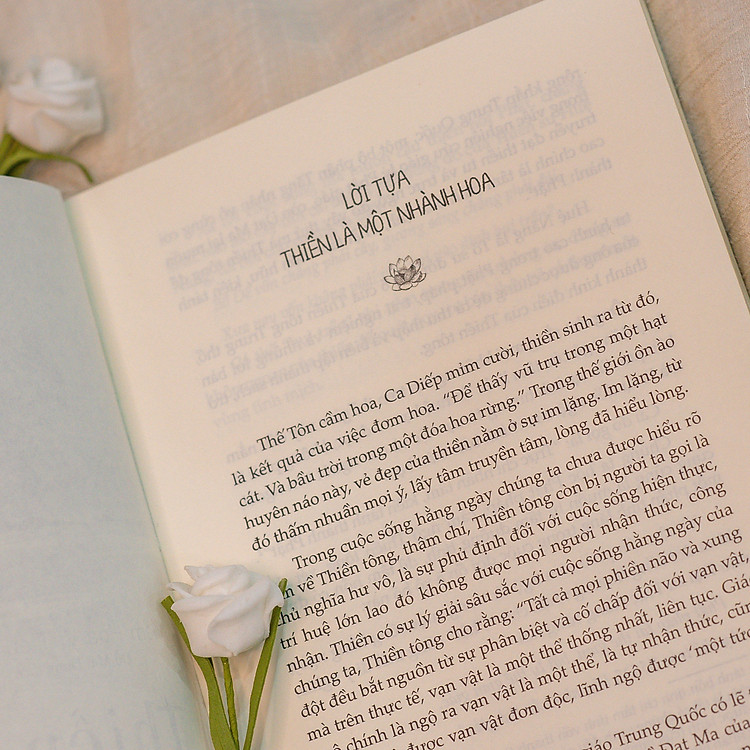 Một Tách Trà Thiền - Ảnh 7