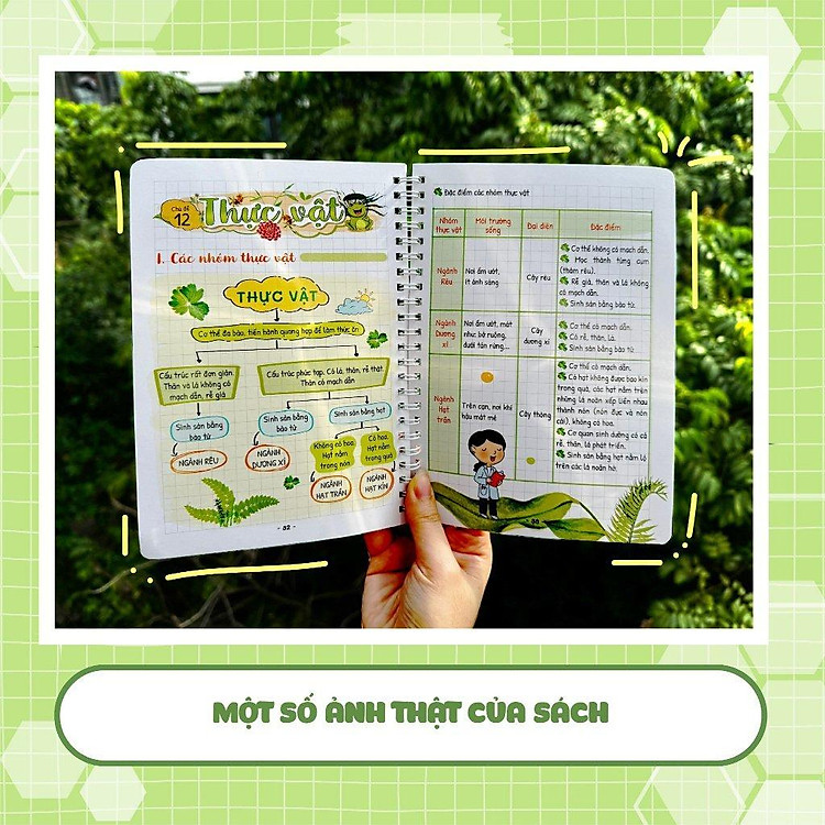 Takenote Khoa Học Tự Nhiên Lý - Hóa - Sinh Lớp 6 - Ảnh 3