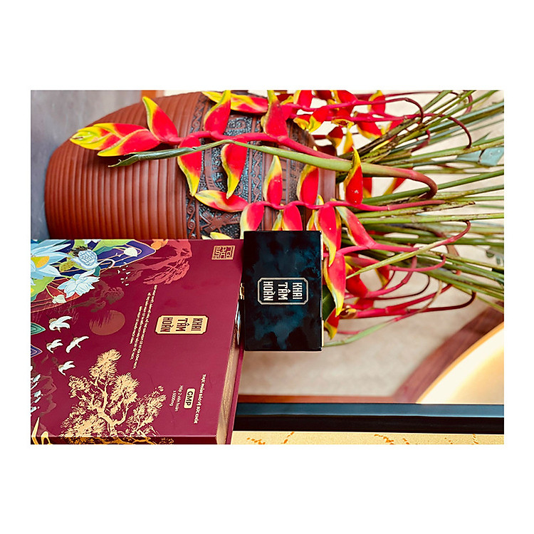 Khai Tâm Hoàn - Hỗ trợ phòng ngừa đột quỵ và sau đột quỵ