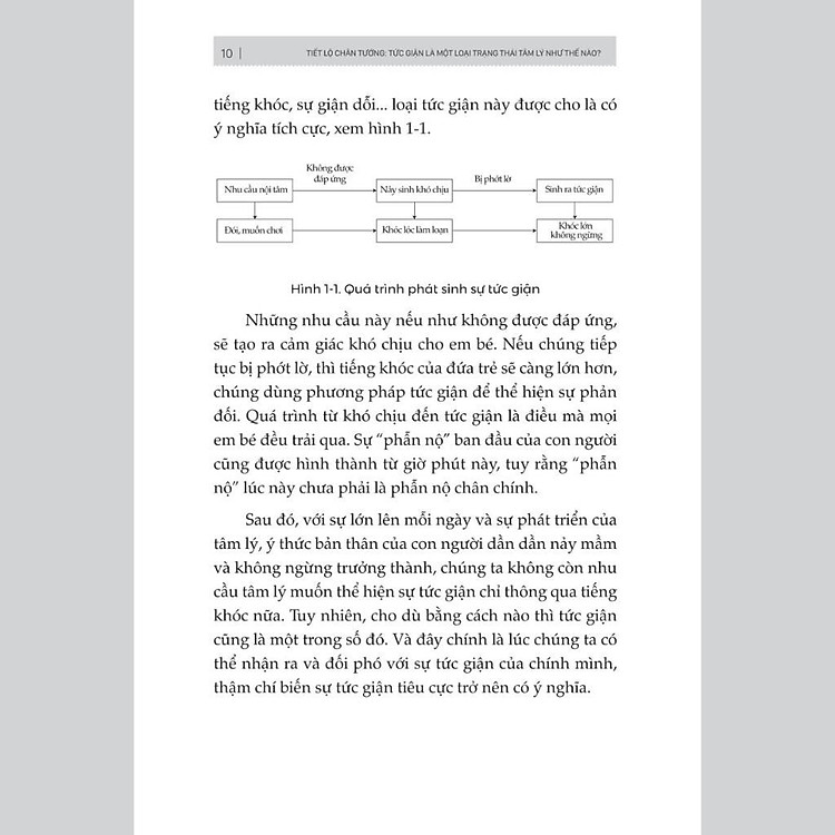 Tâm Lý Học Về Khắc Chế Cơn Giận - Đừng Để Cơn Giận Thay Đổi Con Người Bạn - Ảnh 7