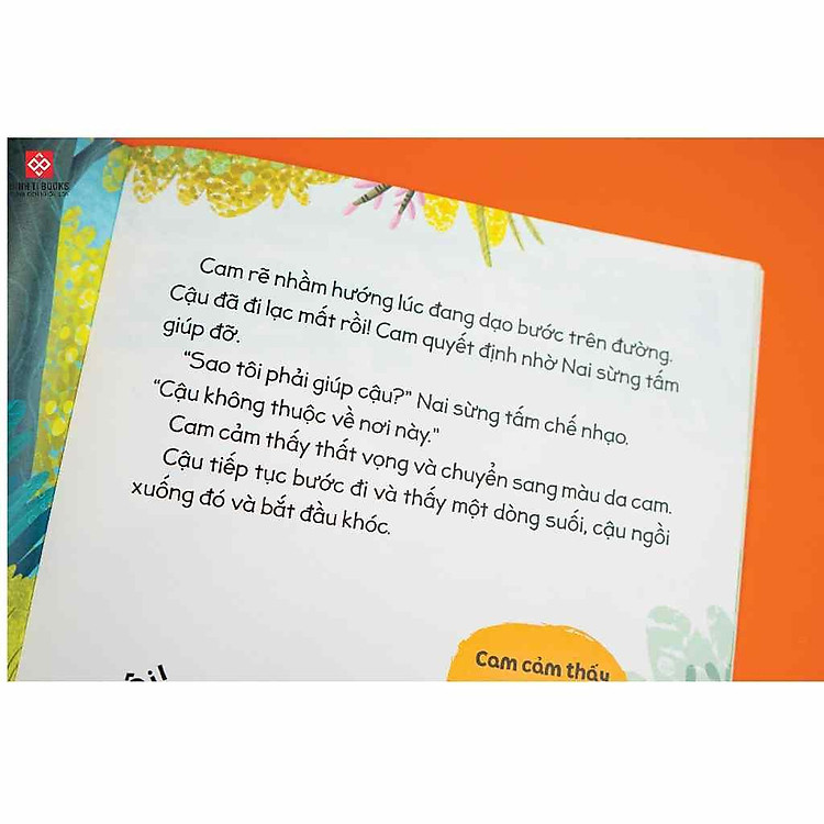 Cầu Vồng Cảm Xúc - Ảnh 2