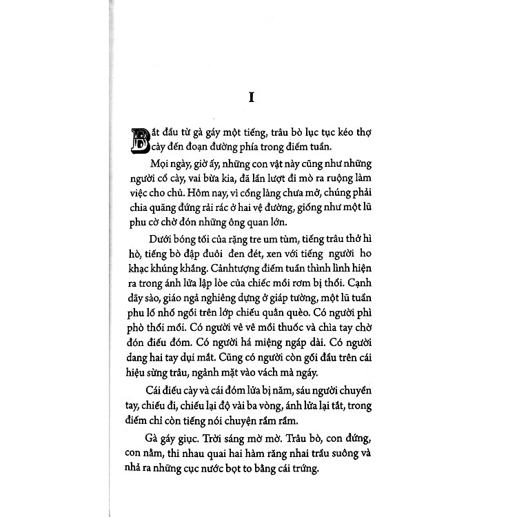 Tắt Đèn (Tái Bản 2022) - Ảnh 4