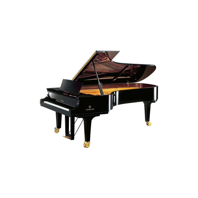 Thế Giới Quanh Em - Âm Nhạc - Thể Thao - Ảnh 5