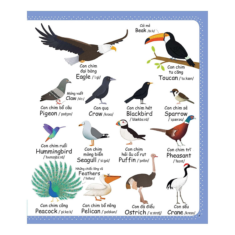 Từ Vựng Đầu Tiên Của Tôi - My First Word Book - Thiên Nhiên - Ảnh 2