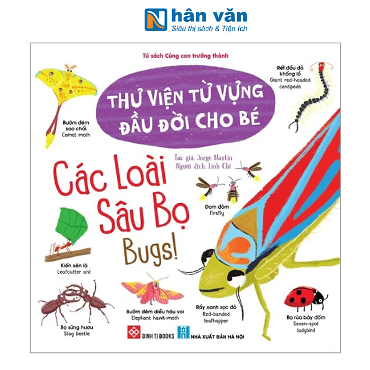 Thư Viện Từ Vựng Đầu Đời Cho Bé – Các Loài Sâu Bọ