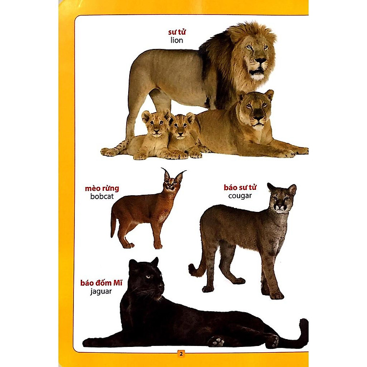 Từ Điển Bằng Hình - Loài Vật Quanh Em - Sách Song Ngữ Cho Bé - Ảnh 3