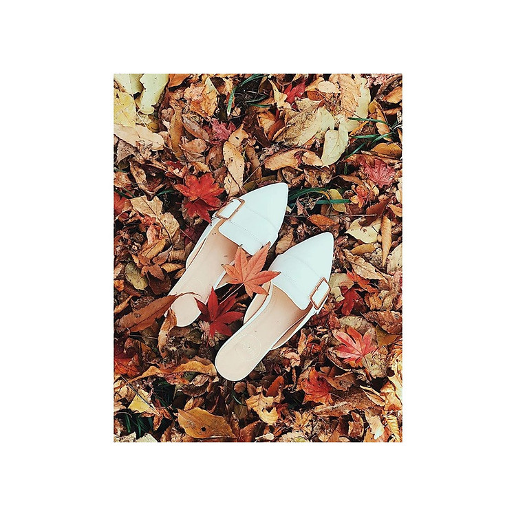 Giày Nữ Sục Móc Vuông Mũi Nhọn Đế 3p