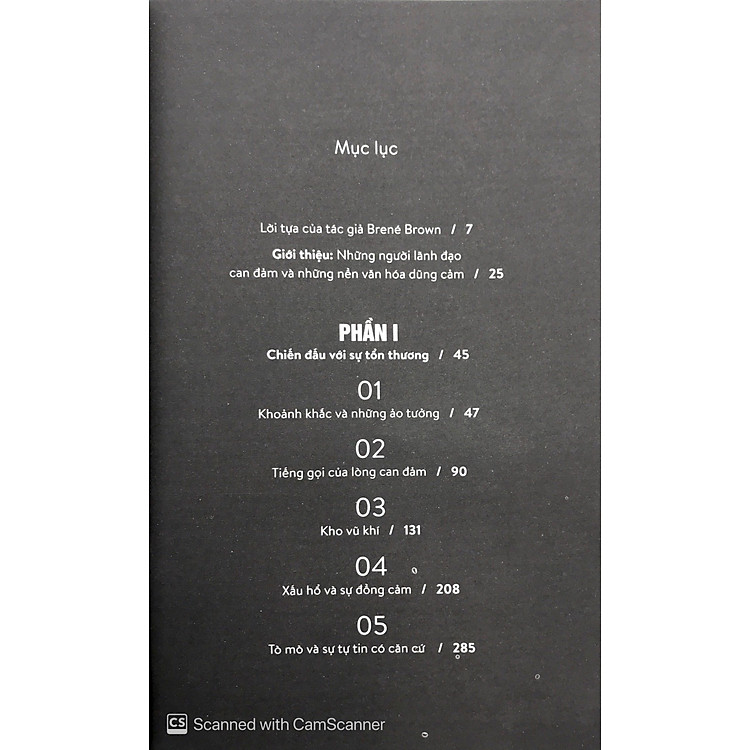 Dám Lãnh Đạo - Dare To Lead - Ảnh 3