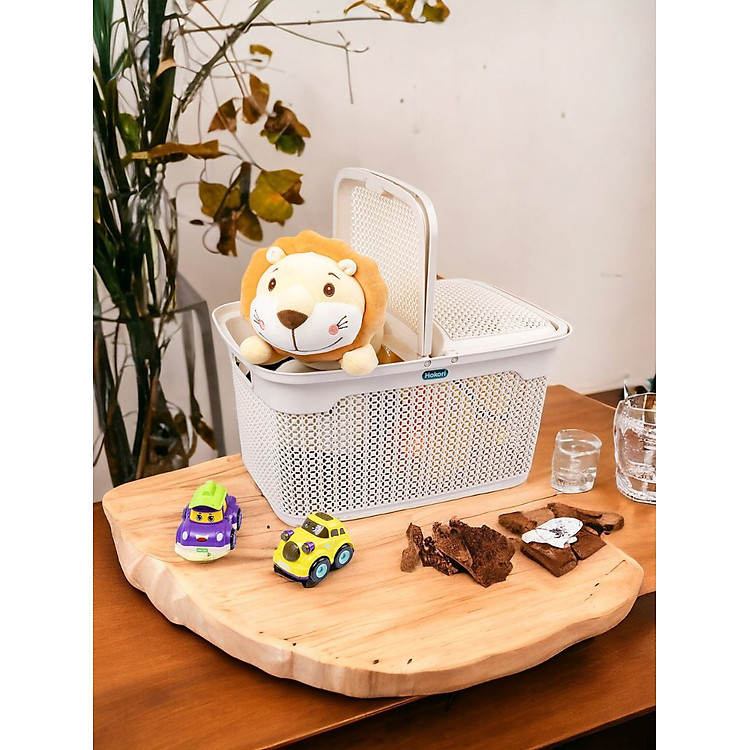 Mua Giỏ Làn Quai Xách Nắp Hoa Đa Năng Giá rẻ - Hình ảnh 3