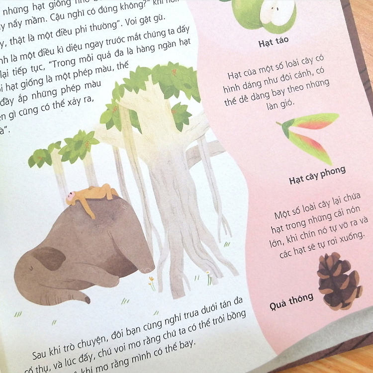 Biên Niên Sử Rừng Già - Ảnh 3