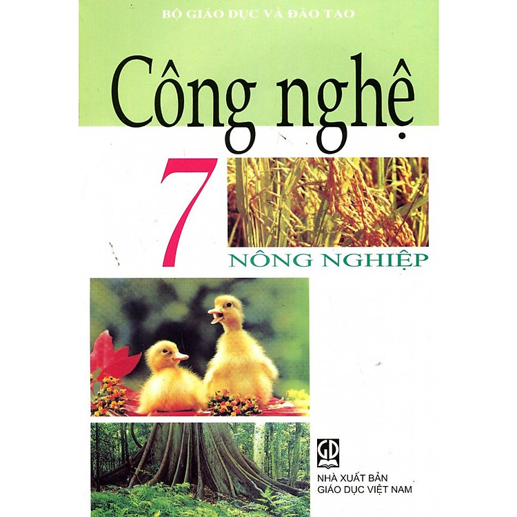 Sách Công Nghệ Lớp 7 - Tái Bản