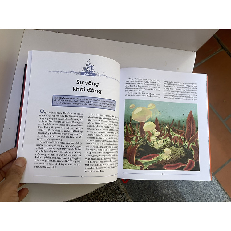 Sự Sinh Thành Thế Giới - Lịch Sử Hình Thành Vũ Trụ, Trái Đất Và Muôn Loài - Ảnh 3