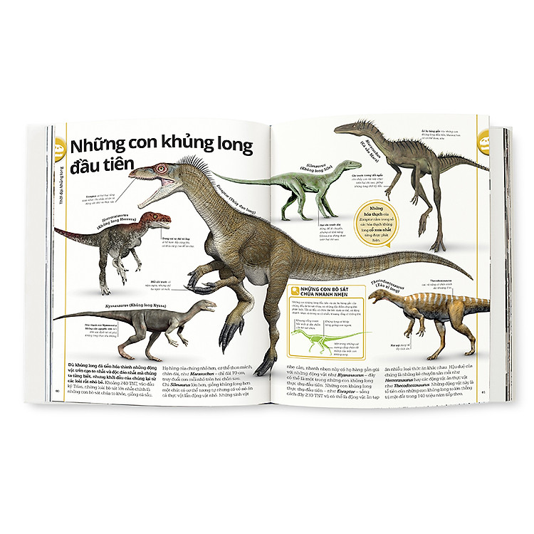 Khủng Long - Ảnh 2