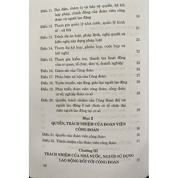 Luật Công Đoàn năm 2024 - Ảnh 4