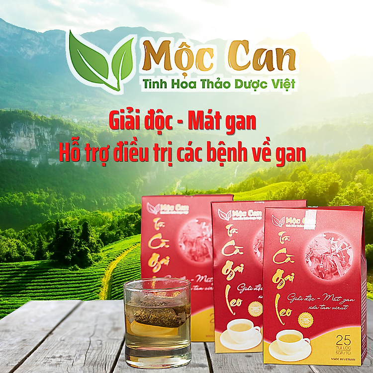 Trà Cà Gai Leo Mộc Can, Trà túi lọc mát gan giải độc gan hạn chế tổn thương tế bào gan 1 hộp 15 túi lọc