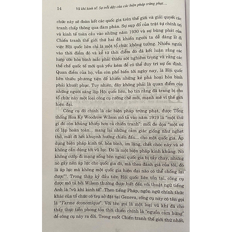 Vũ Khí Kinh Tế: Biện Pháp Trừng Phạt Hiện Đại - Ảnh 6