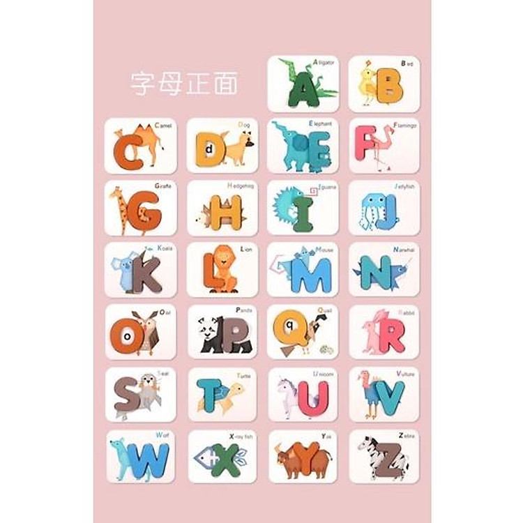 Mua ALPHABET PAIRED CARD - Thẻ chữ cái và số Chính hãng Ưu đãi - Hình ảnh 2