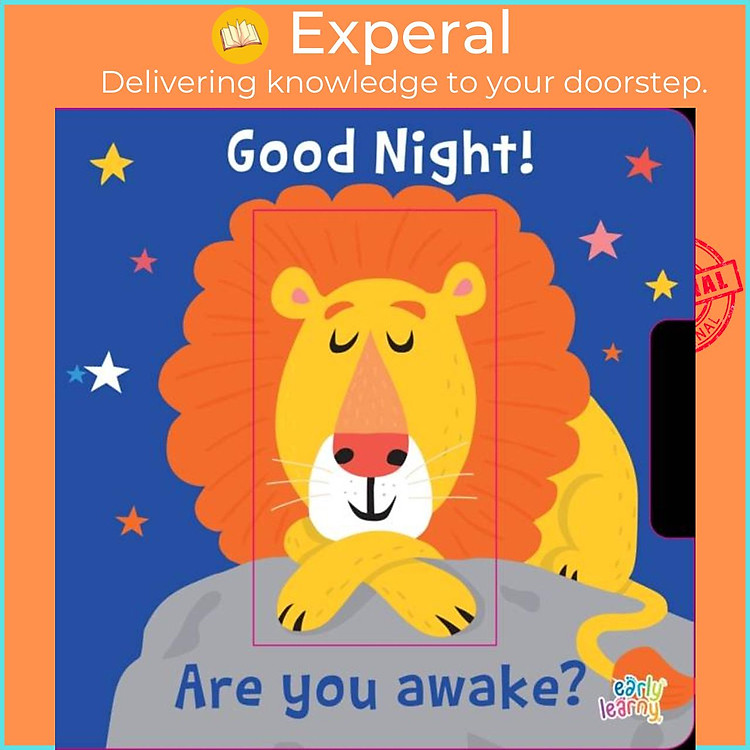Sách - The Good Night! Are yoou awake? by Nastja Holtfreter (UK edition, boardbook)