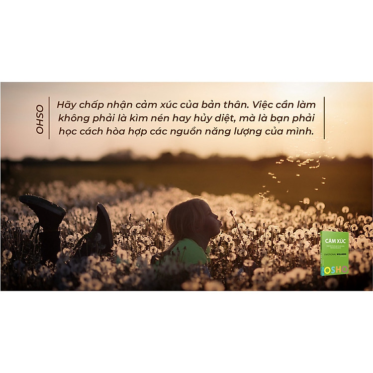 Cảm Xúc - Emotional Wellness - Ảnh 5