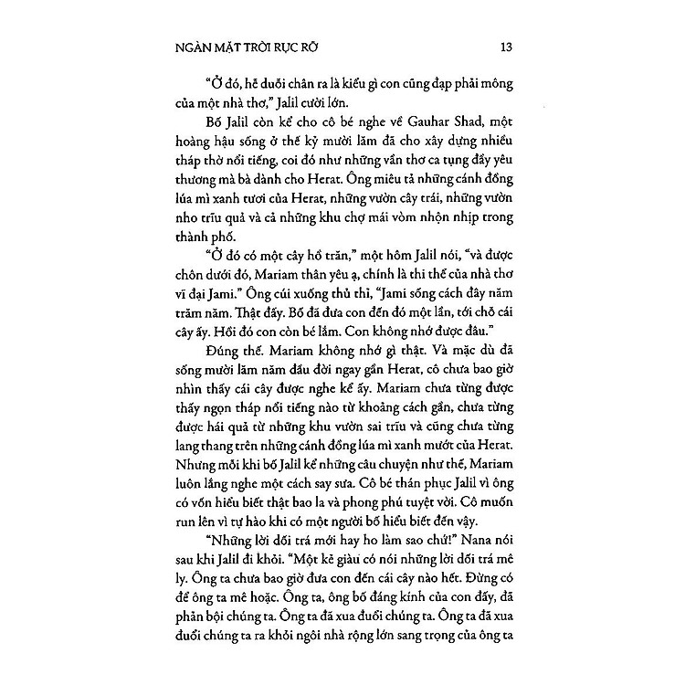 Ngàn Mặt Trời Rực Rỡ - Ảnh 4