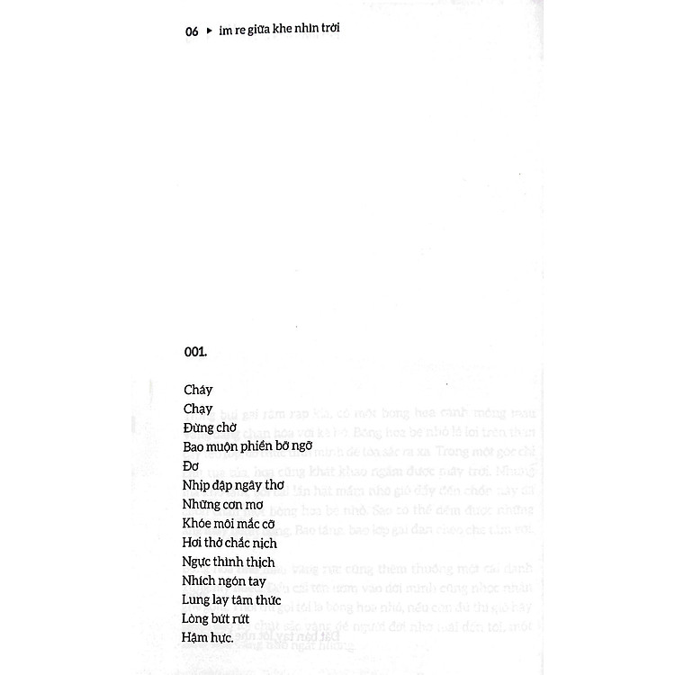 Im Re Giữa Khe Nhìn Đời - Ảnh 3