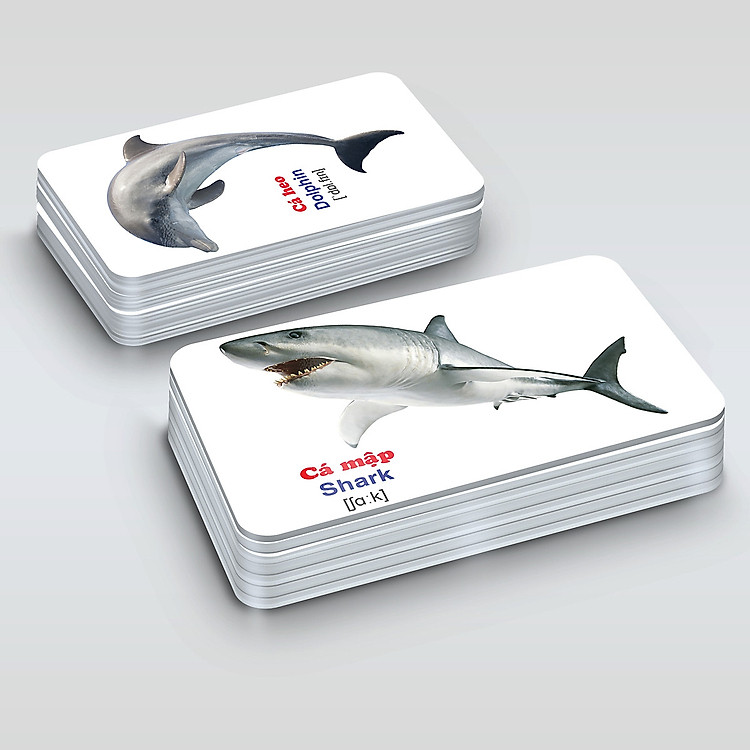 Bộ Thẻ Học Thông Minh (416 Tấm) - Ảnh 4