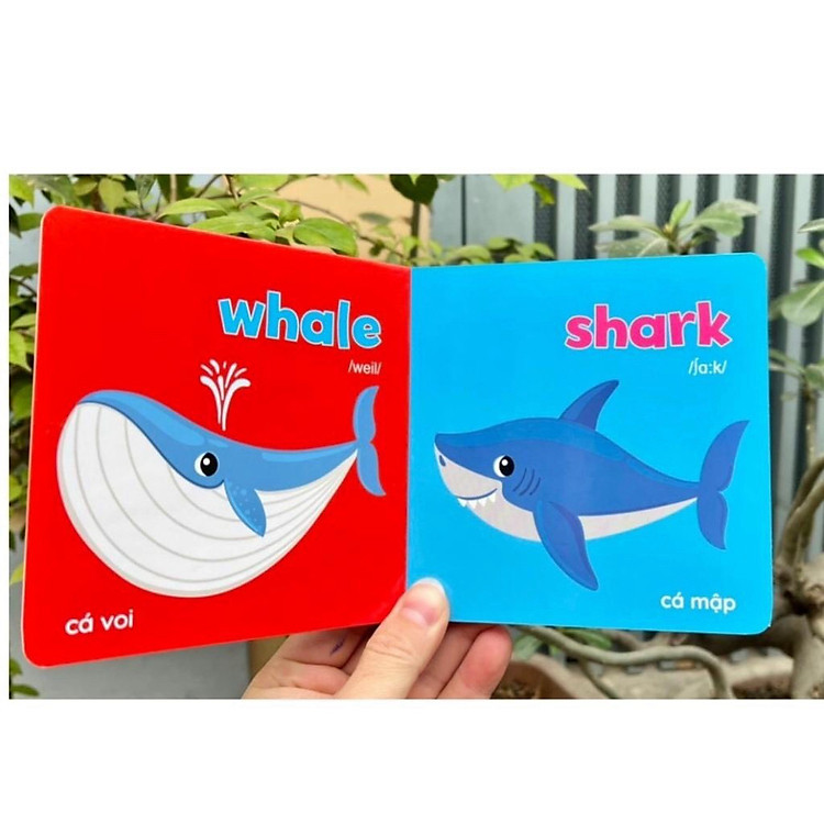 Baby First Picture Book - Song Ngữ Anh Việt - Ảnh 4