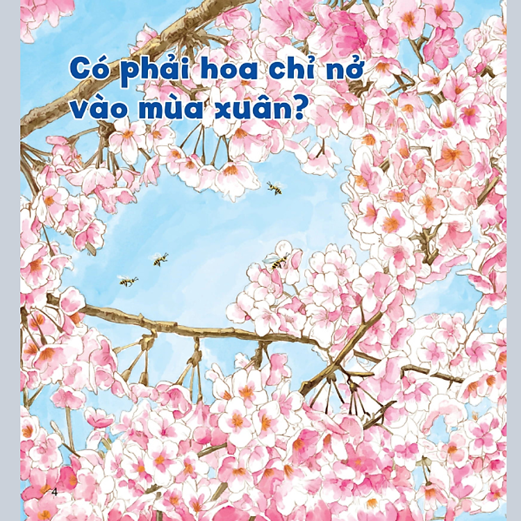 Wow, Thì Ra Là Thế! - Bí Mật Nhỏ Của Thực Vật - Ảnh 5