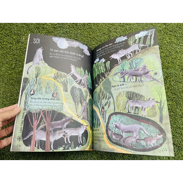 Bộ A Lê Hấp! - Ảnh 2